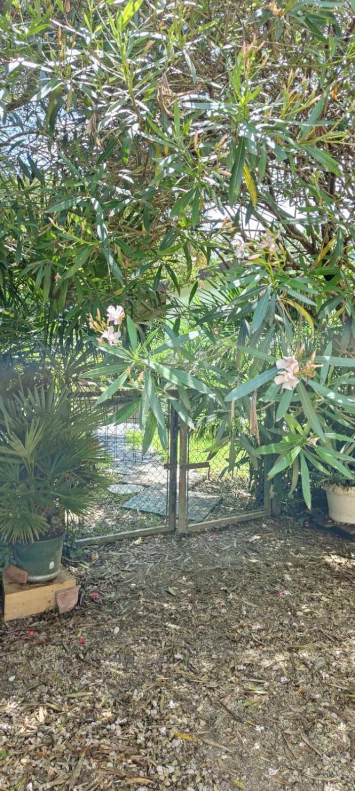 Villaluigia - Oasi Le Palme Padova Exterior foto