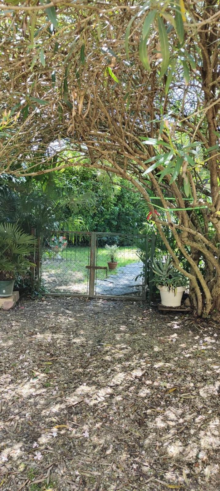 Villaluigia - Oasi Le Palme Padova Exterior foto